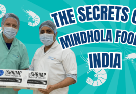 The secrets of Minhola food India